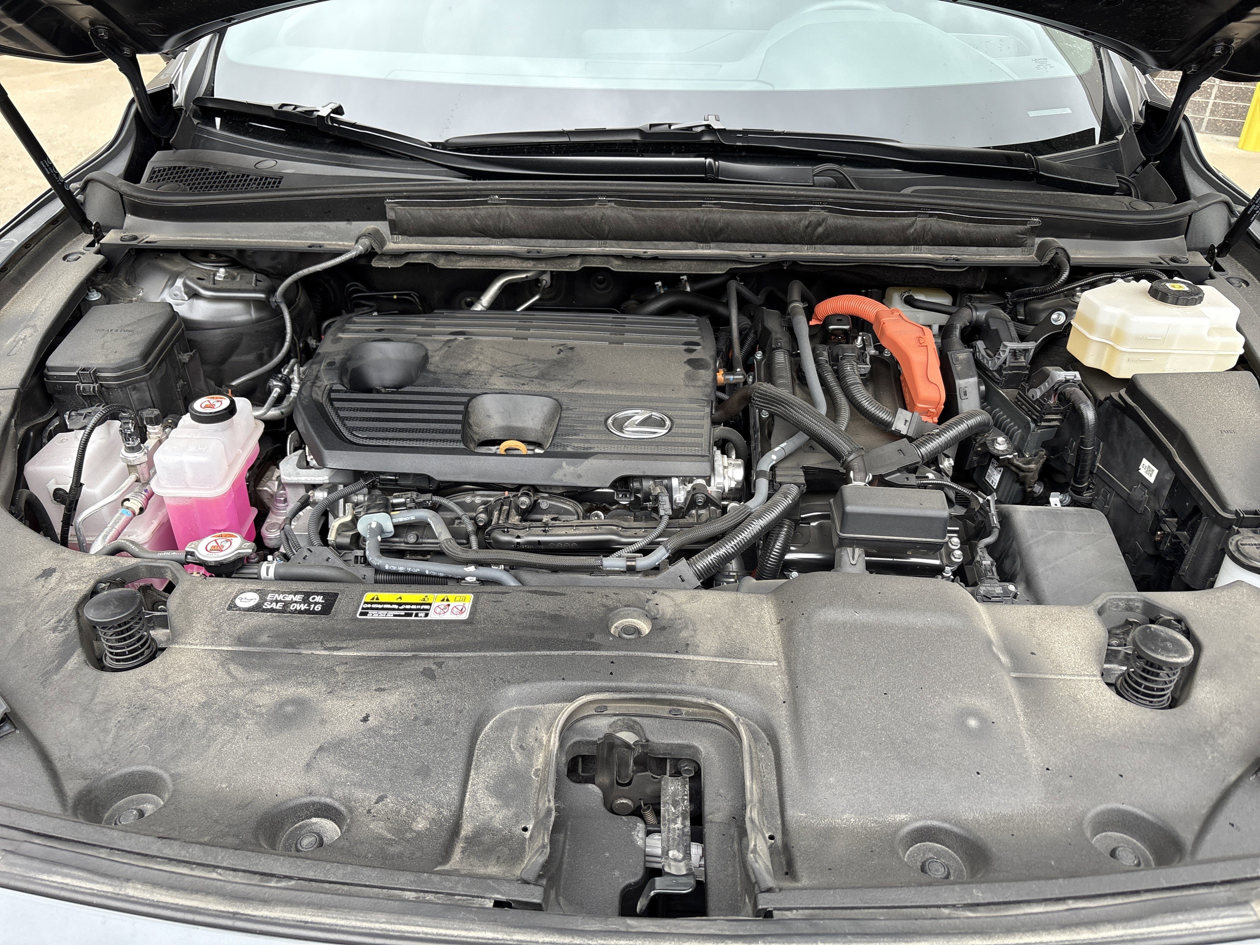 Used 2024 Lexus RX 350h w/ Cold Area Package AWD/4WD image 22