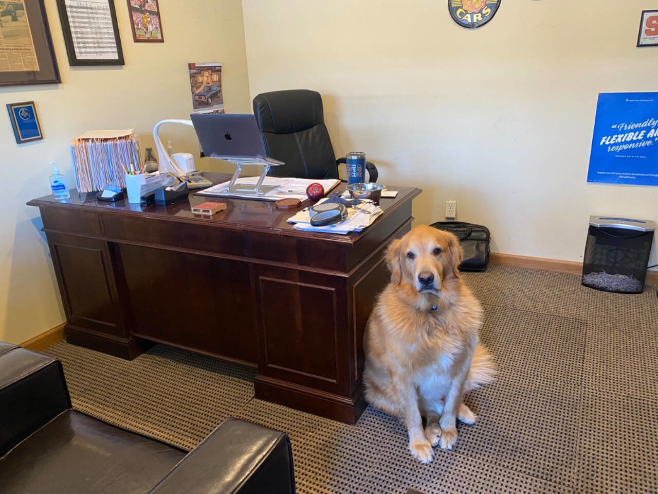 Used 2014 Volkswagen Passat 1.8T S image 35