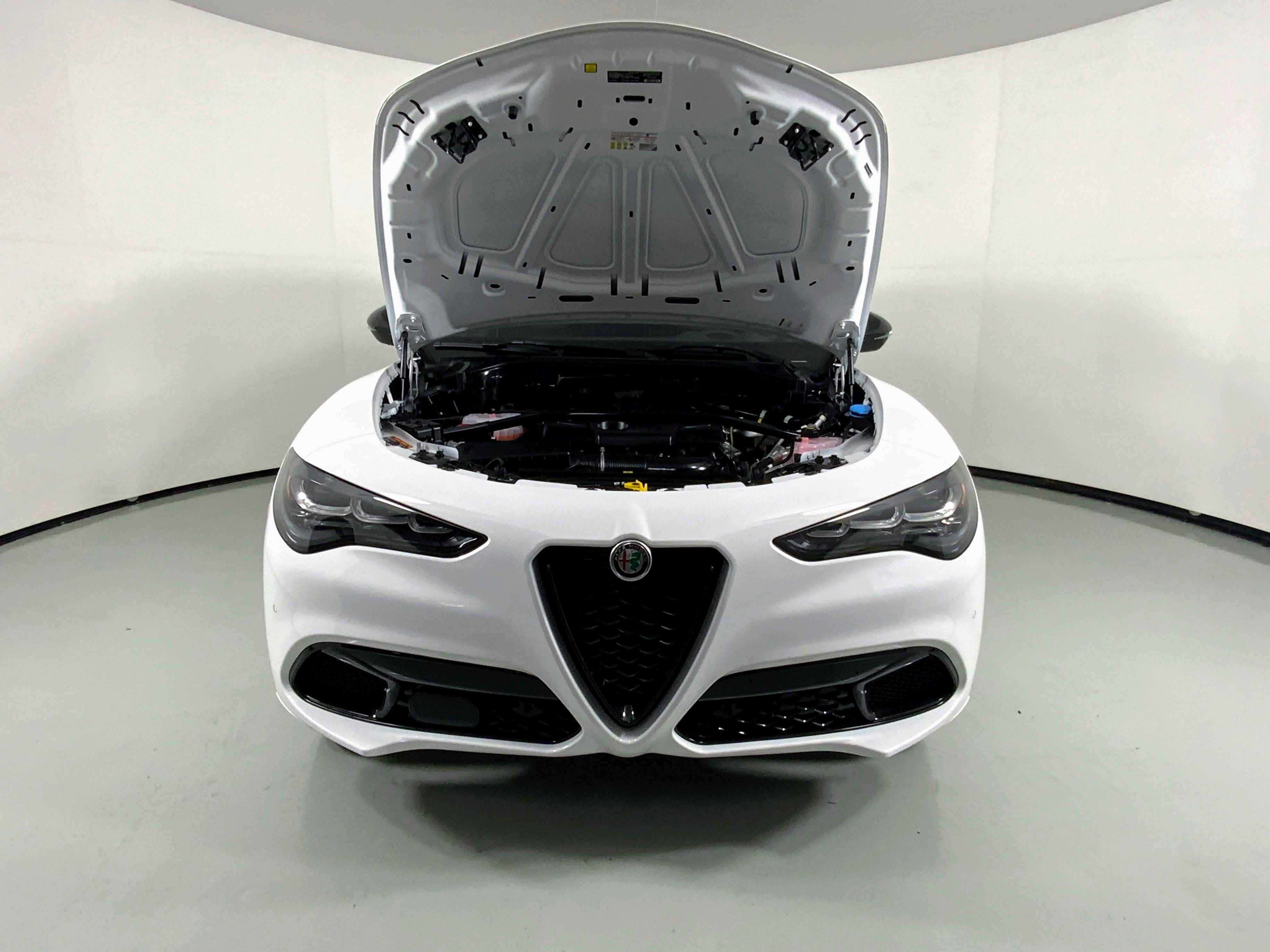 New 2025 Alfa Romeo Stelvio Tributo Italiano w/ Active Assist Plus Package image 9
