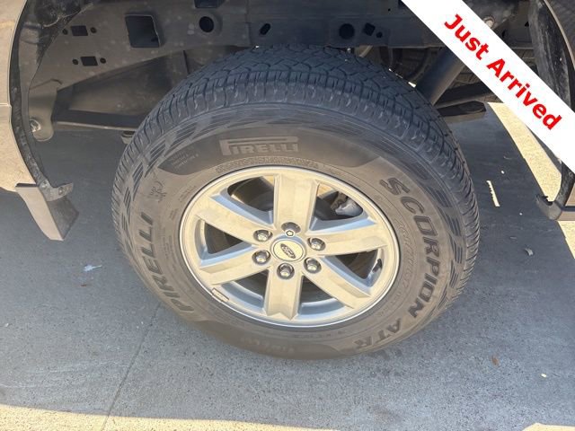 Used 2023 Ford F150 XL w/ XL Chrome Appearance Package image 17