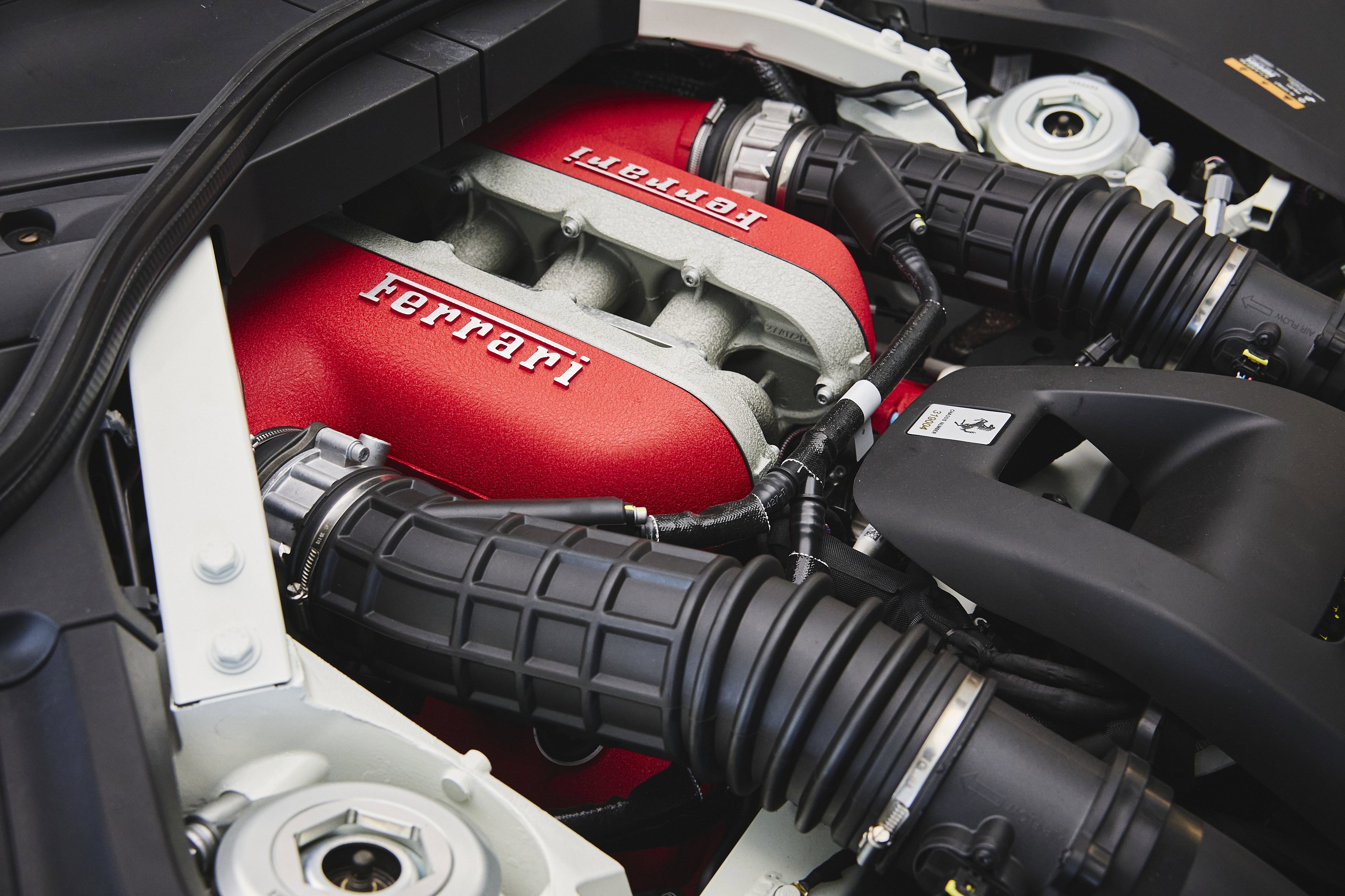 Used 2025 Ferrari Purosangue image 13