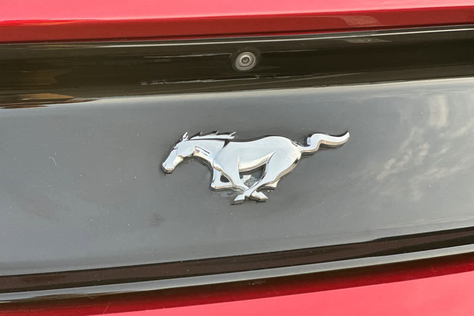 Used 2016 Ford Mustang Coupe image 25