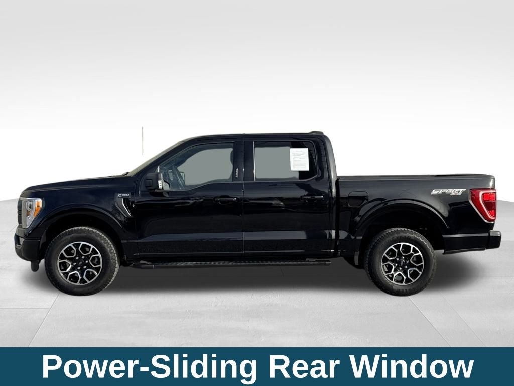 Used 2023 Ford F150 XLT w/ Equipment Group 302A High image 33