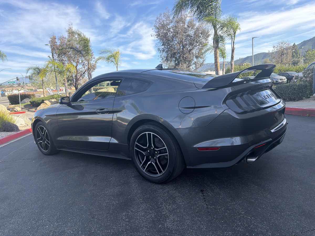 Used 2020 Ford Mustang EcoBoost w/ Equipment Group 101A RWD image 14
