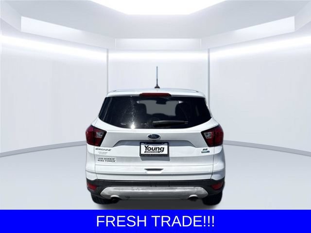 Used 2019 Ford Escape SE AWD/4WD image 6