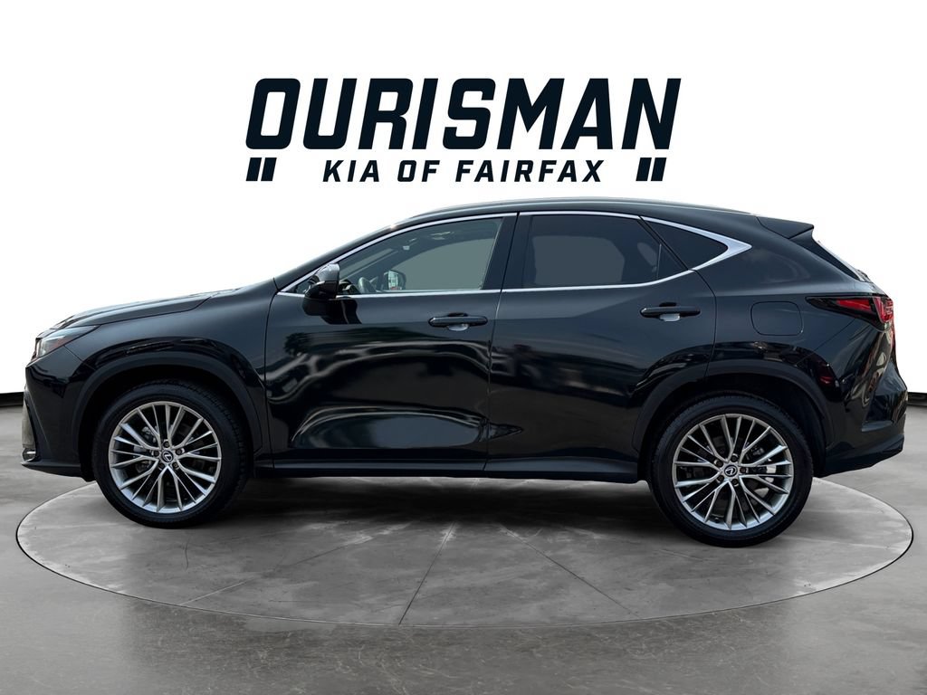 Used 2024 Lexus NX 350 AWD w/ Vision Package image 3