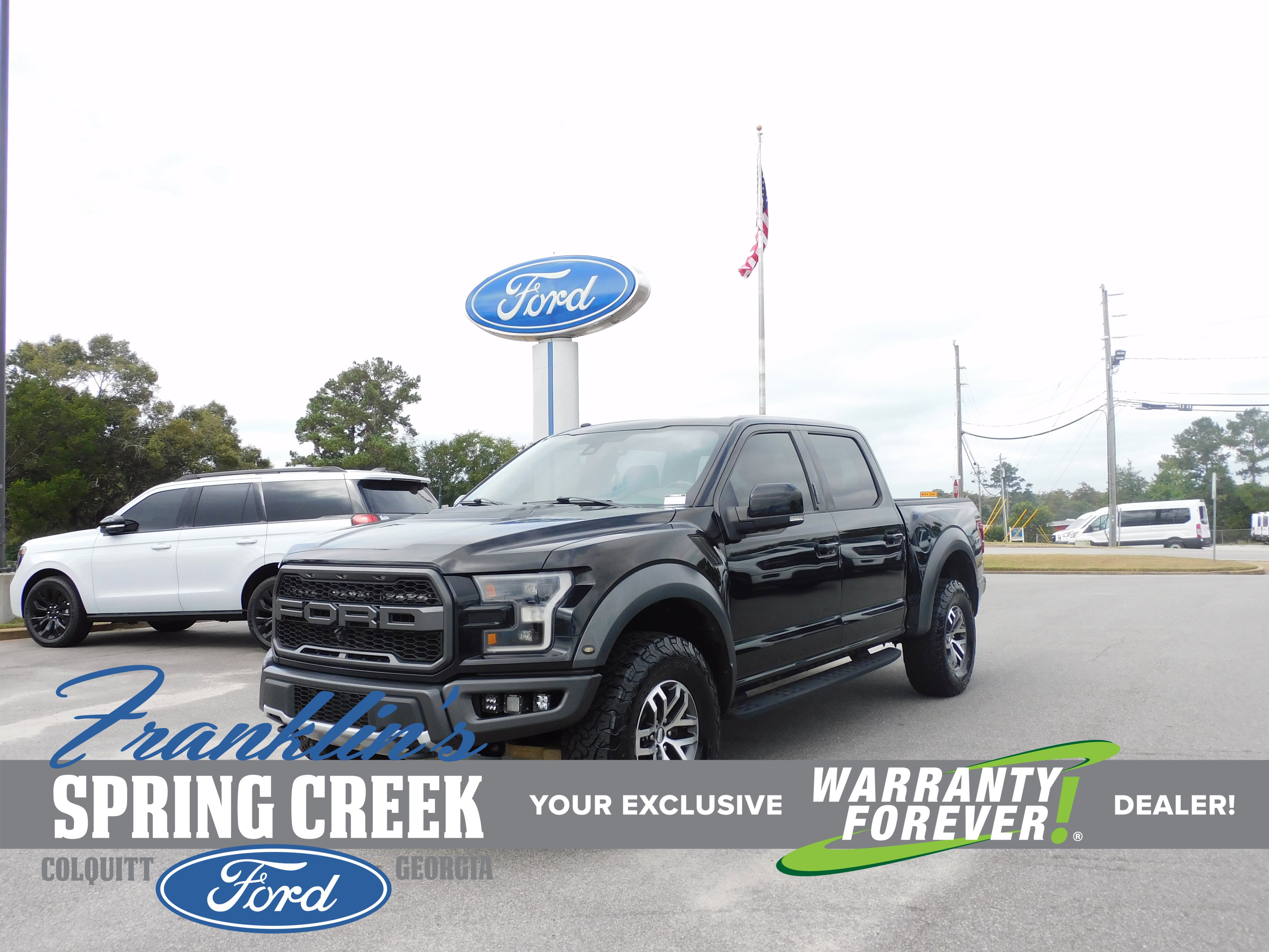 Used 2018 Ford F150 Raptor w/ Equipment Group 802A Luxury image 1