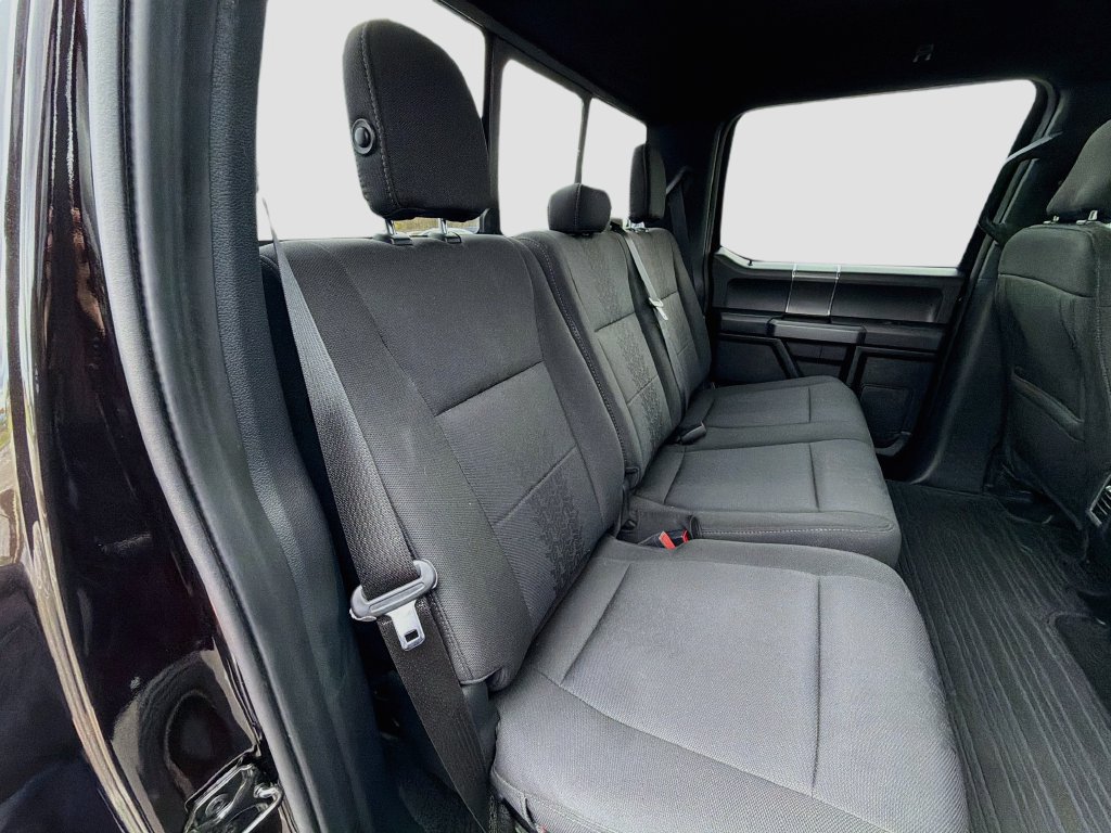 Used 2019 Ford F150 XLT w/ Equipment Group 302A Luxury AWD/4WD image 28