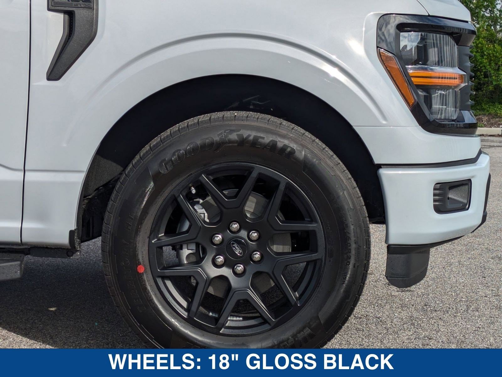 New 2025 Ford F150 STX w/ STX Black Appearance Package image 12