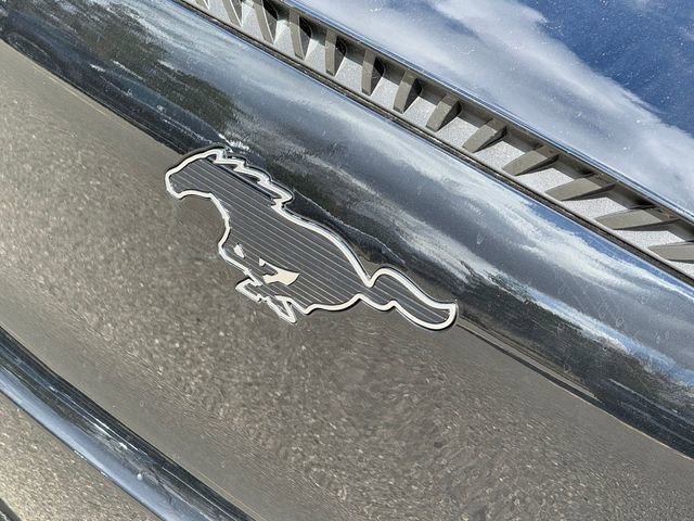 New 2026 Ford Mustang Mach-E Select image 4