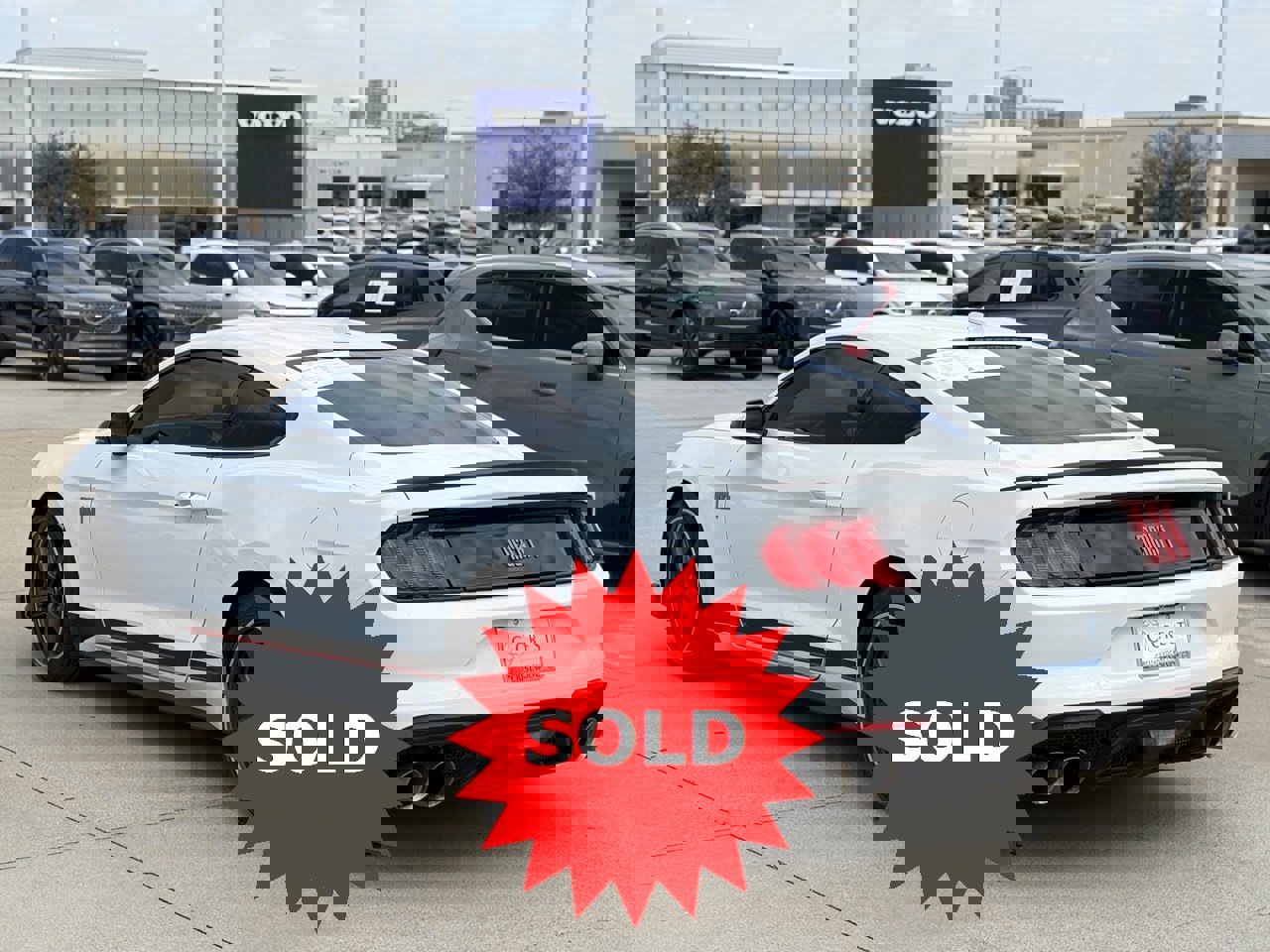 Used 2022 Ford Mustang Mach 1 image 6