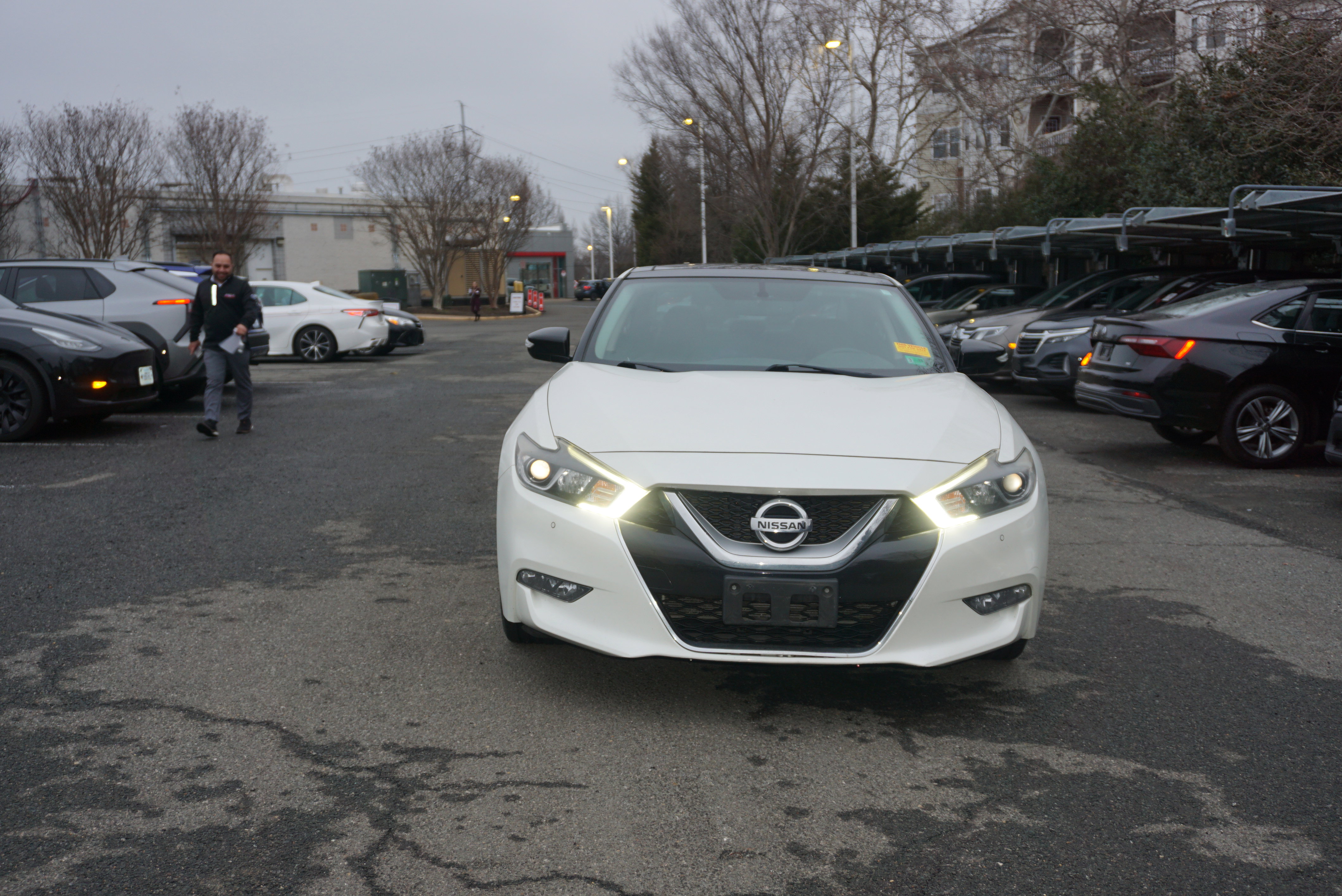 Used 2017 Nissan Maxima 3.5 SL image 2