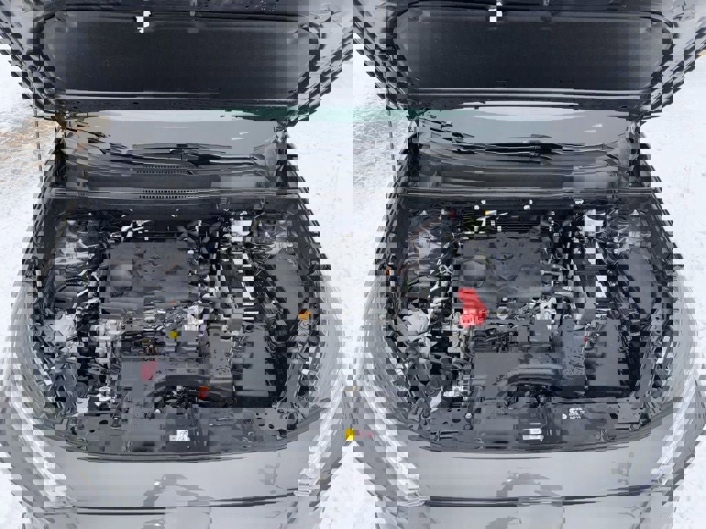 Used 2023 Toyota RAV4 LE image 48