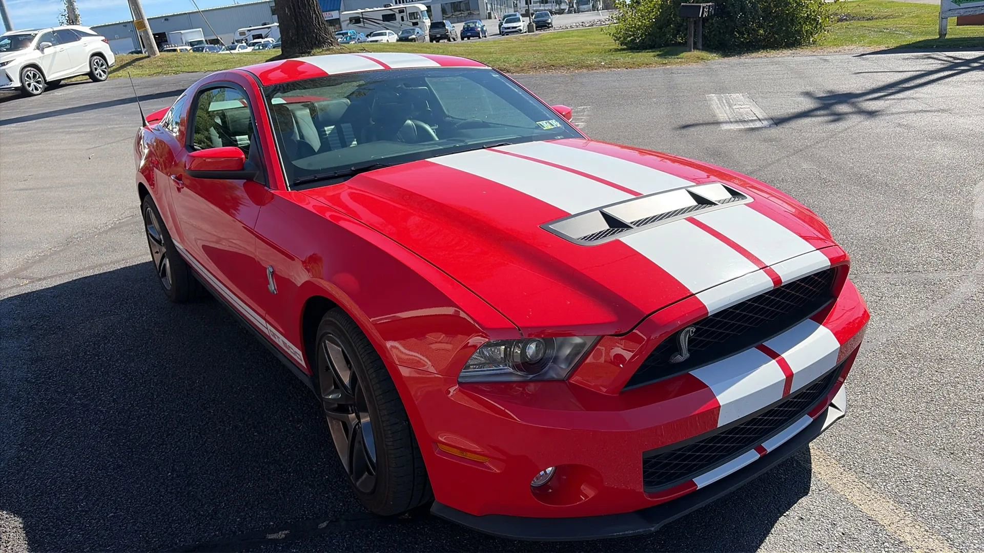 Used 2010 Ford Mustang Shelby GT500 image 21