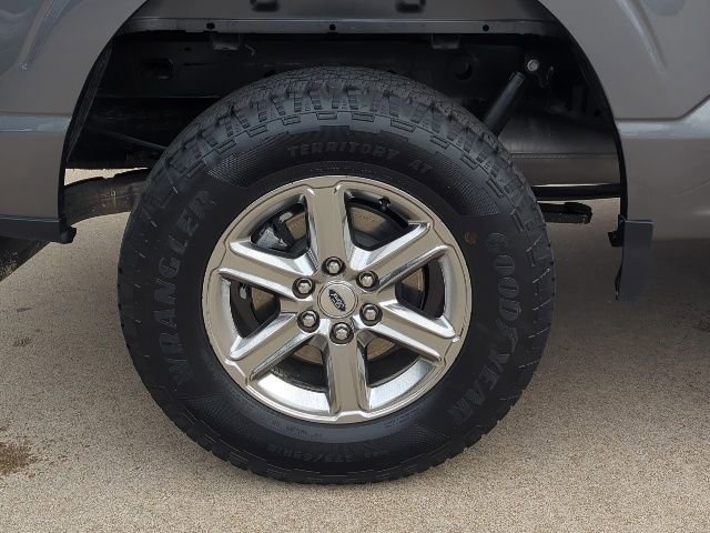 Used 2025 Ford F150 XLT w/ Equipment Group 301A Standard image 3