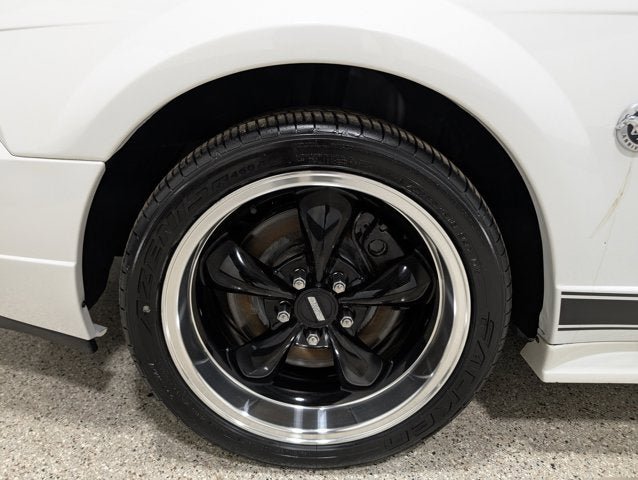 Used 2004 Ford Mustang Mach 1 RWD image 9