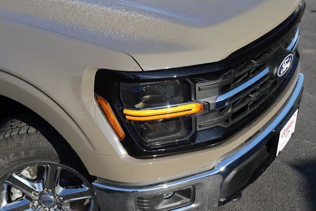 New 2025 Ford F150 XLT w/ Equipment Group 301A Standard image 2