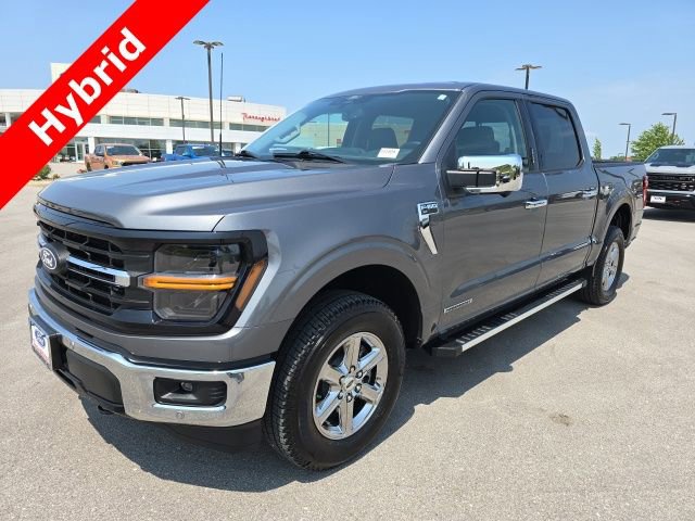 Used 2024 Ford F150 XLT w/ Equipment Group 302A MID AWD/4WD image 1