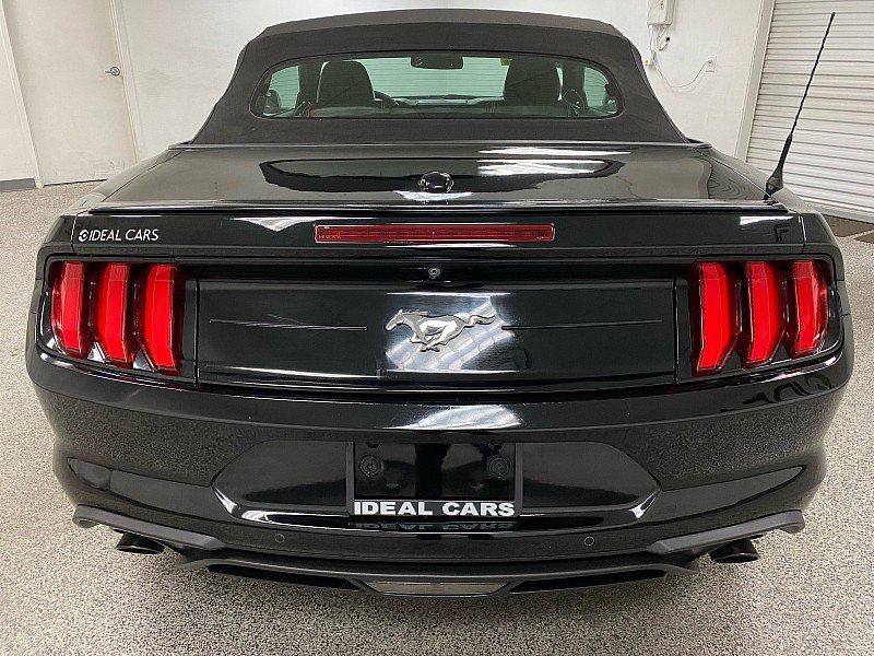 Used 2019 Ford Mustang Premium image 6