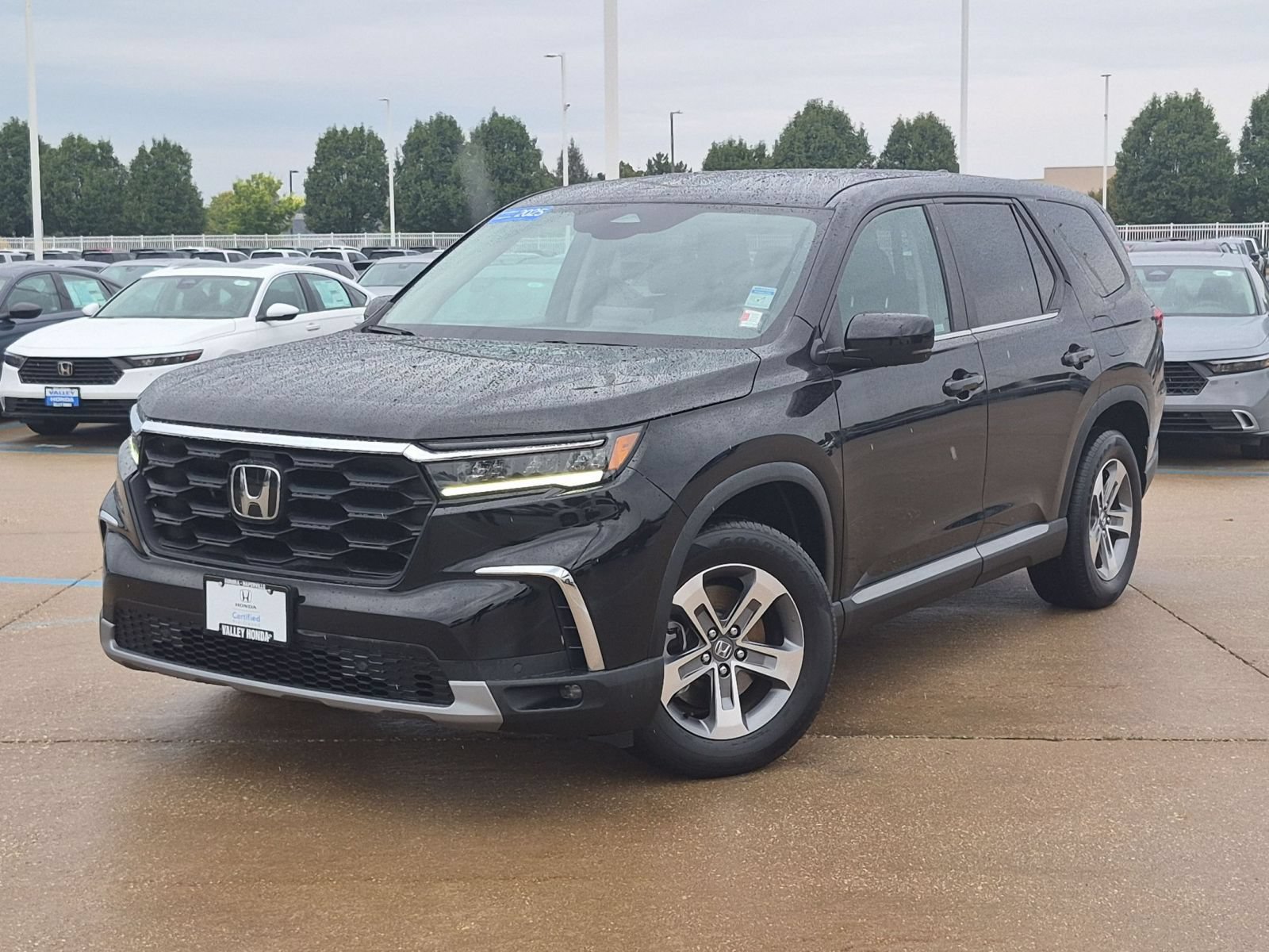 Certified 2025 Honda Pilot EX-L image 2