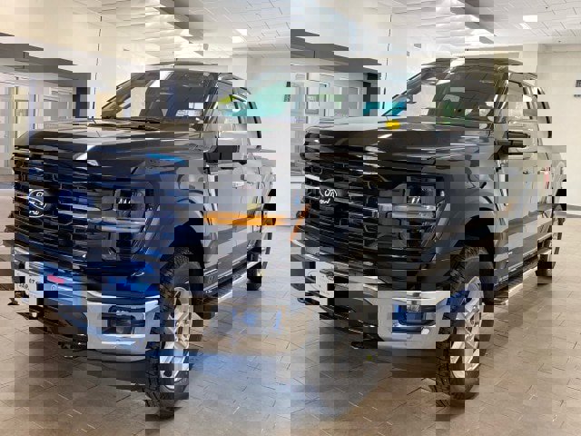 New 2025 Ford F150 XLT w/ Equipment Group 302A MID image 4