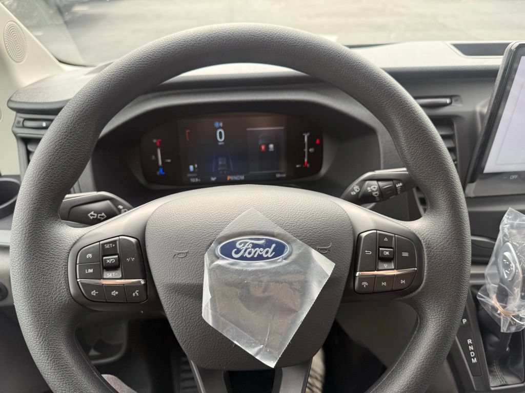 New 2026 Ford Transit 250 Low Roof w/ Load Area Protection Package RWD image 19
