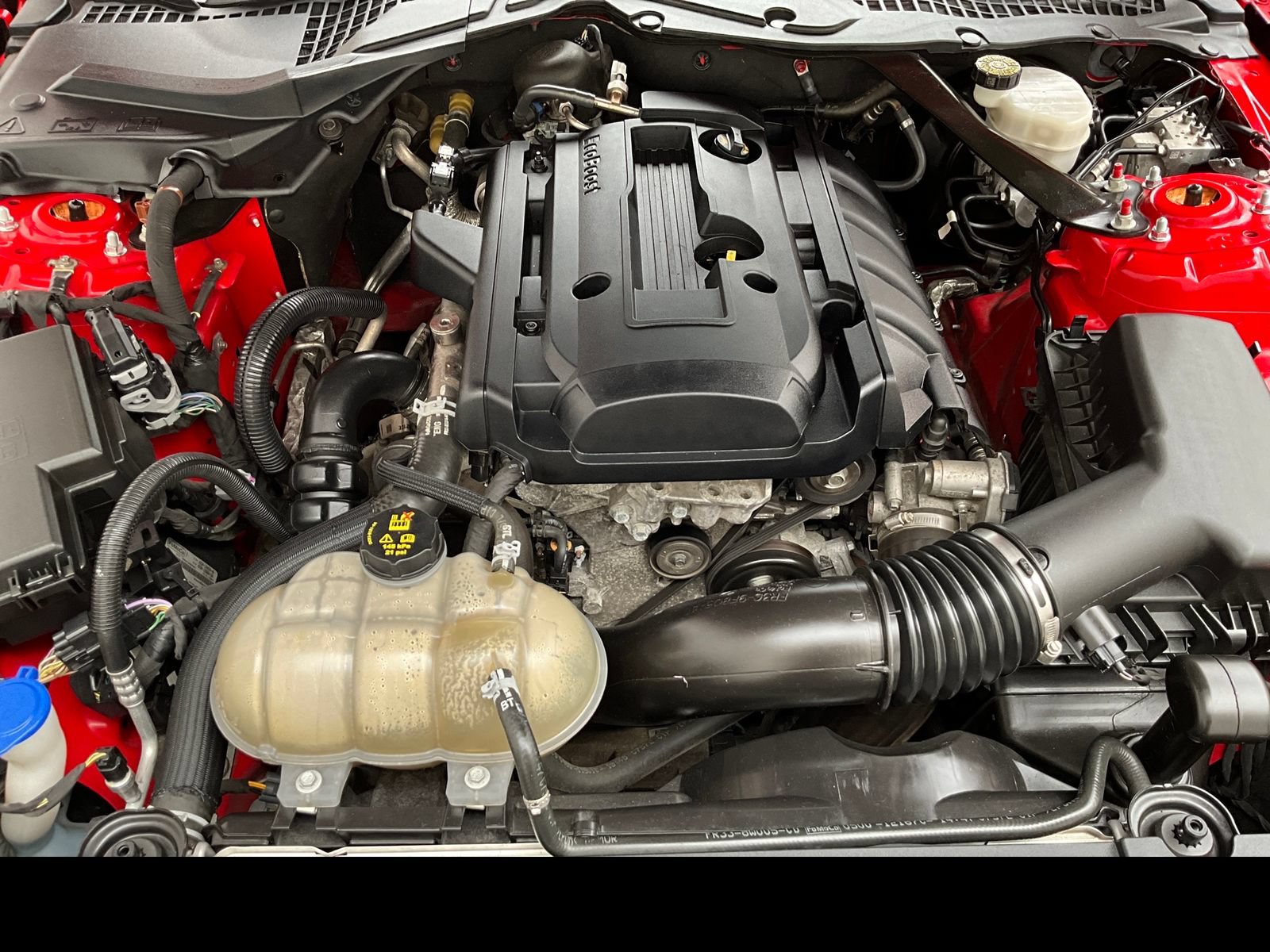 Used 2020 Ford Mustang Premium RWD image 17