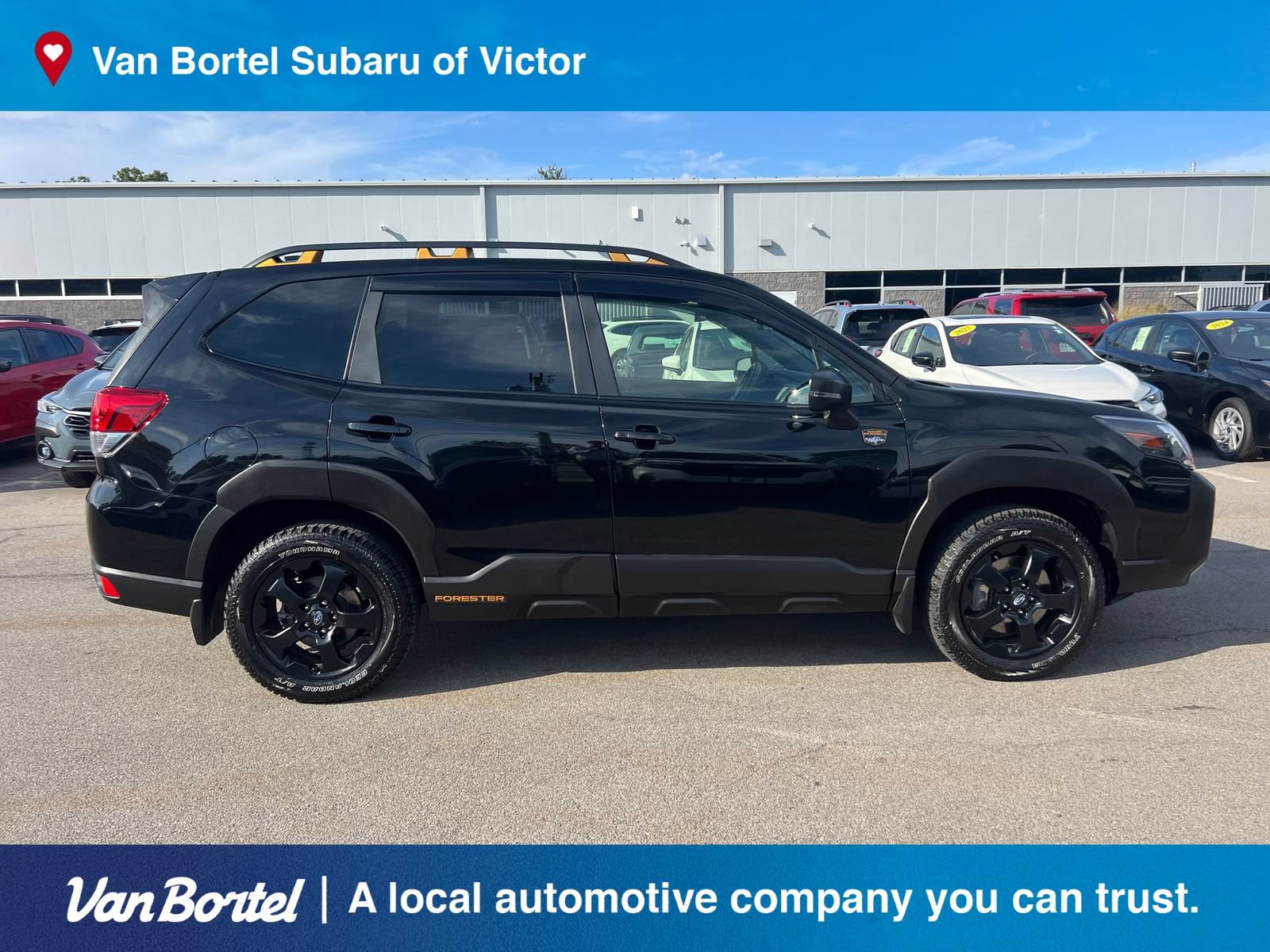 Certified 2024 Subaru Forester Wilderness AWD/4WD image 7