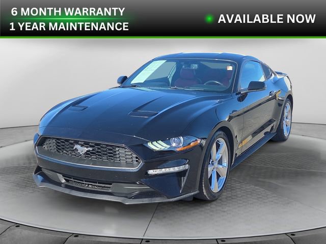 Used 2019 Ford Mustang Premium w/ Equipment Group 201A