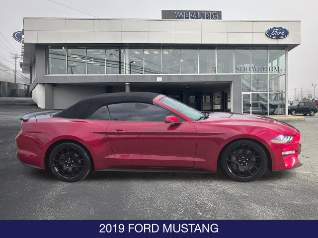 Used 2019 Ford Mustang Premium w/ Ecoboost Performance Package RWD image 9