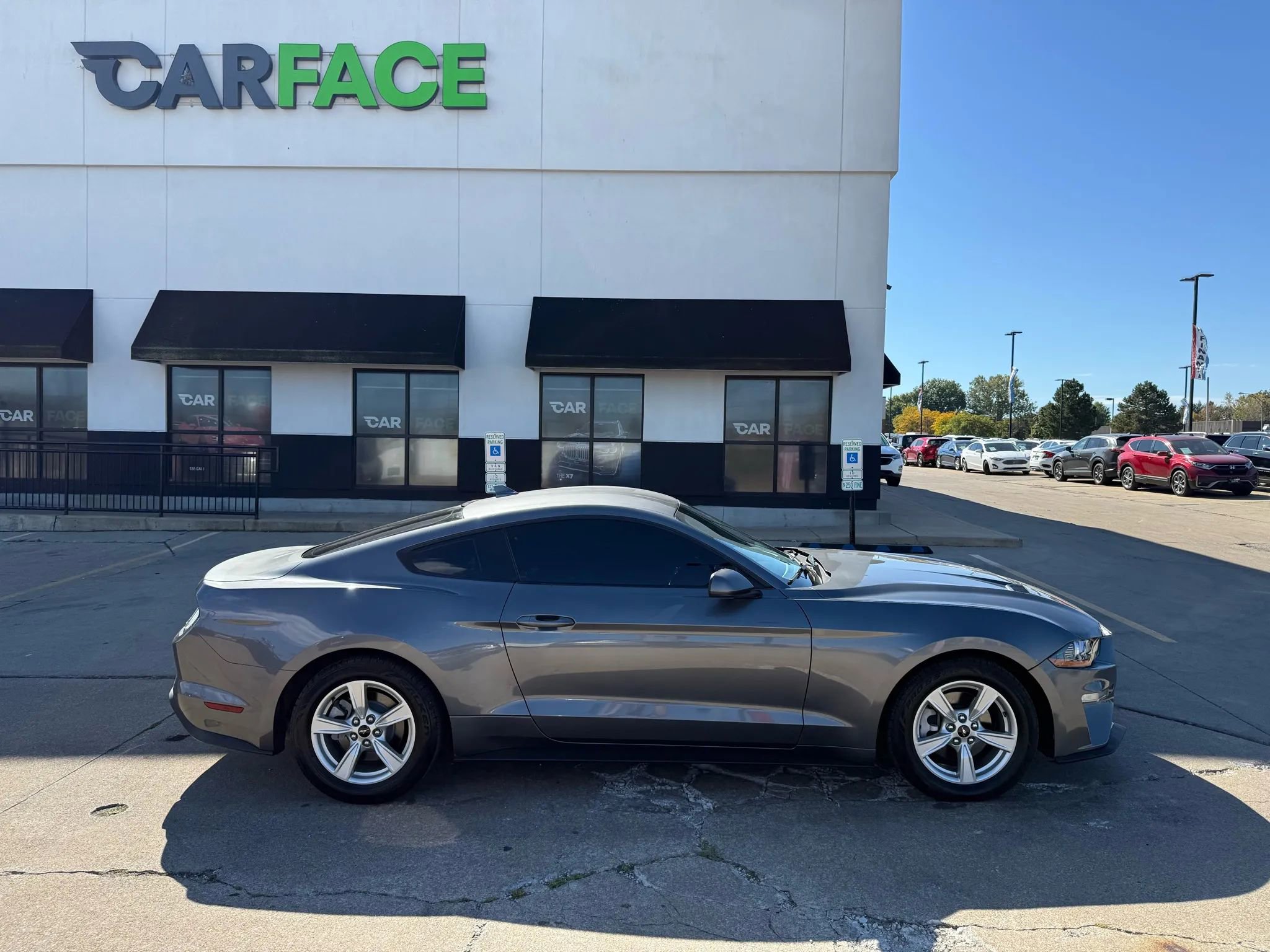 Used 2021 Ford Mustang Coupe image 14