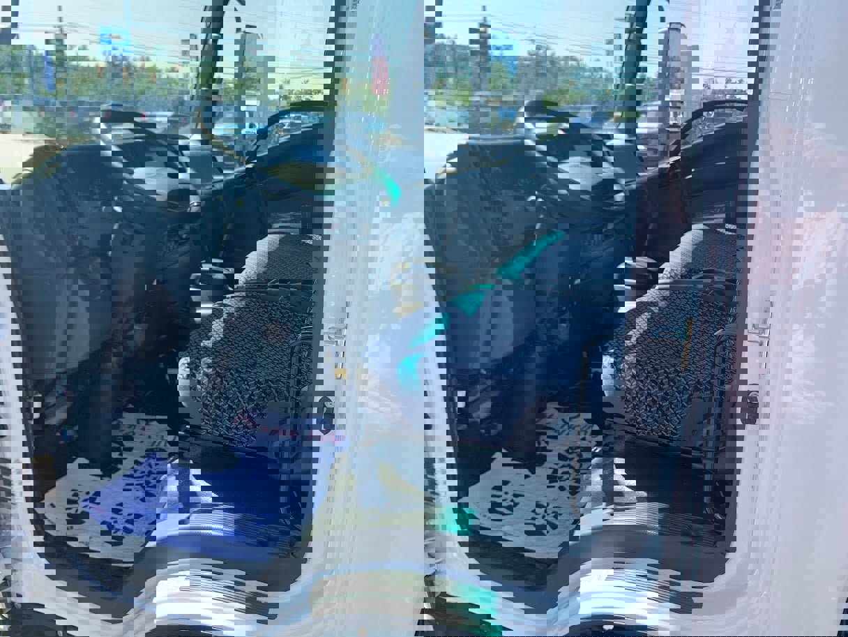 New 2024 Chevrolet Low Cab Forward image 5