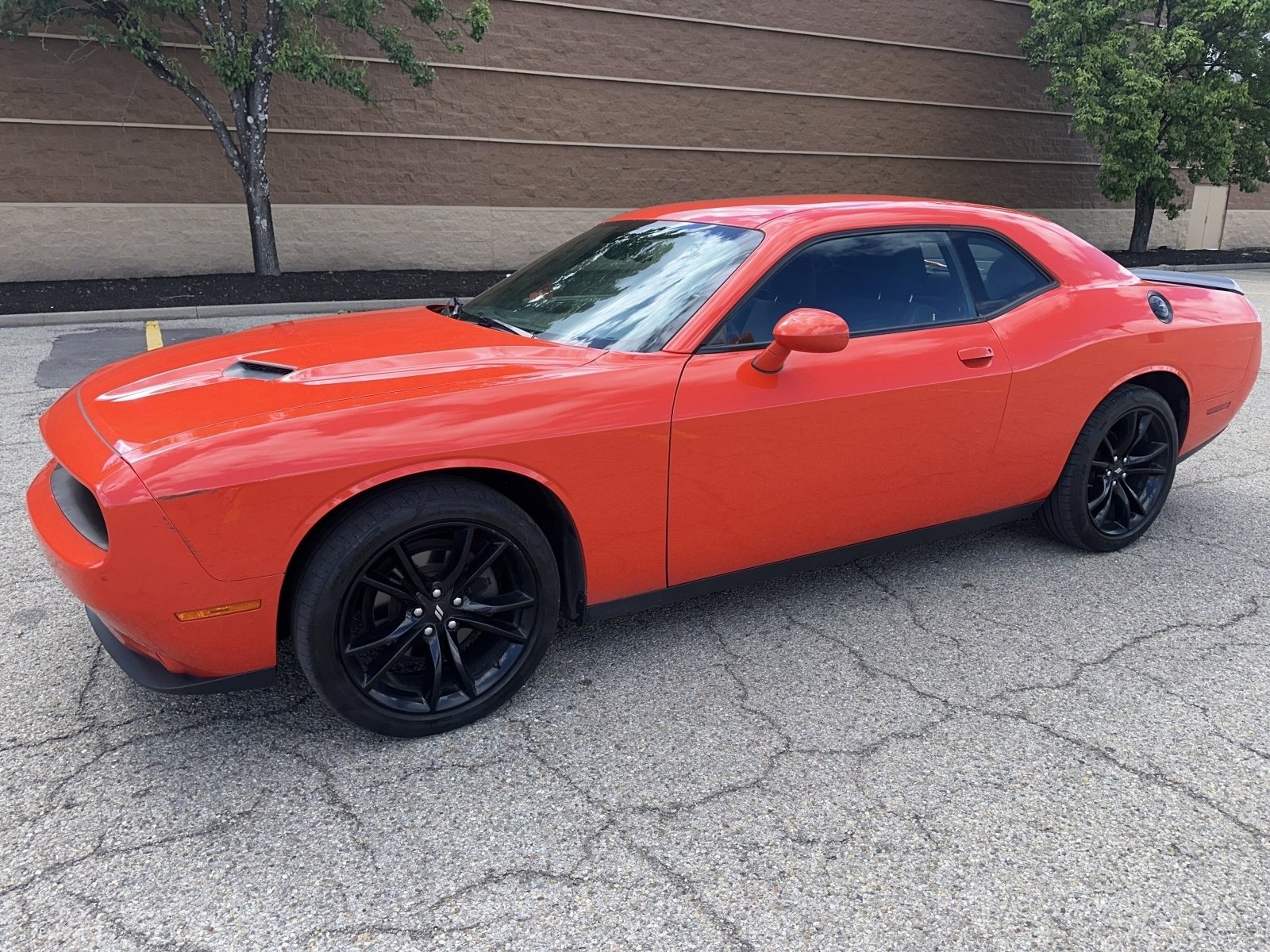 Used 2018 Dodge Challenger SXT w/ Blacktop Package RWD image 6