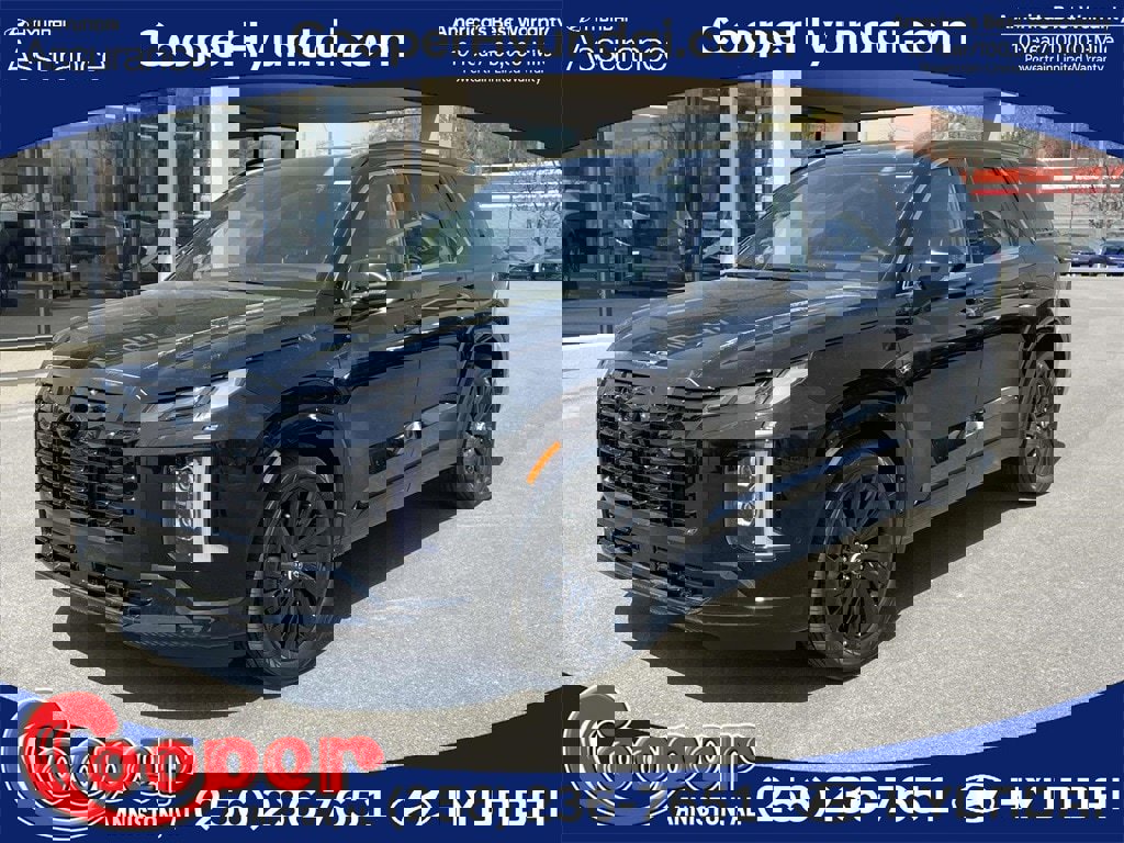 New 2025 Hyundai Palisade Calligraphy