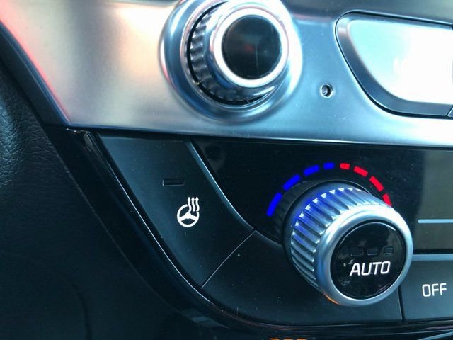 Used 2024 Kia Telluride SX Prestige X-Pro image 14