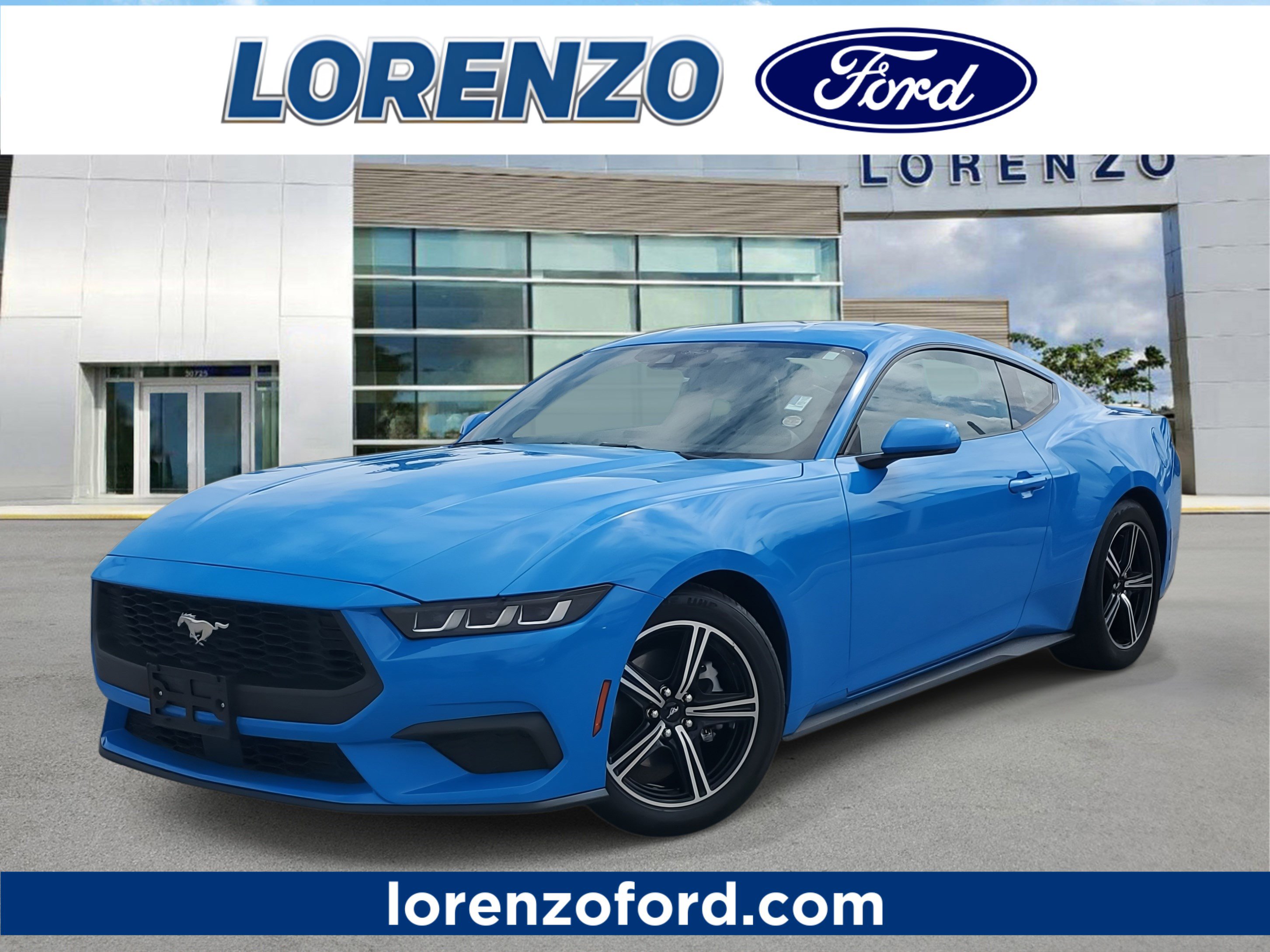 Used 2024 Ford Mustang Premium
