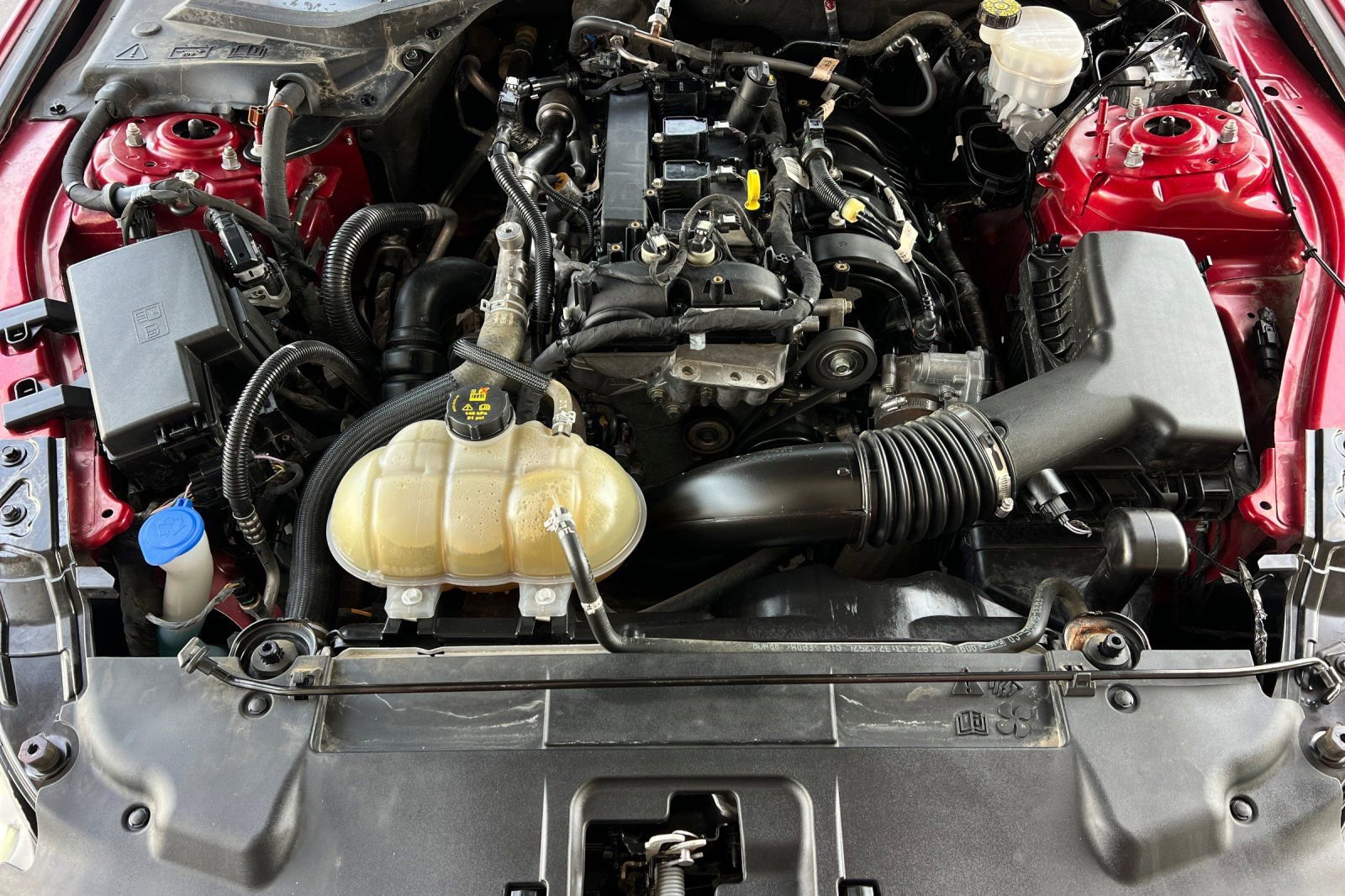 Used 2021 Ford Mustang Coupe w/ Equipment Group 101A image 23