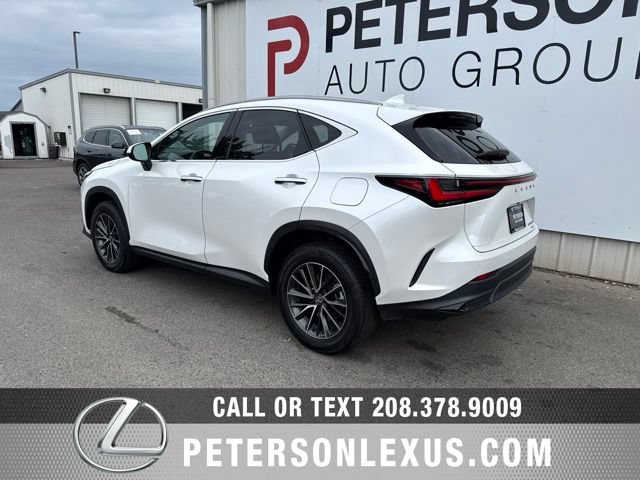Used 2024 Lexus NX 350h AWD w/ Cold Area Package image 6