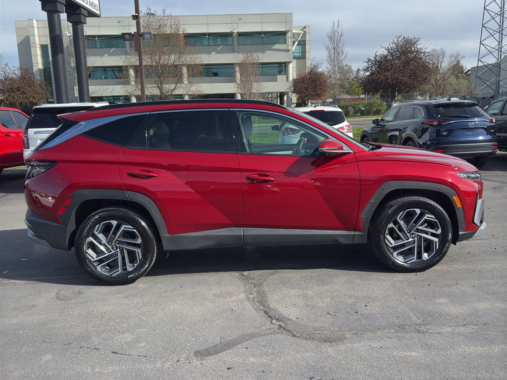 Used 2025 Hyundai Tucson Limited AWD/4WD image 8