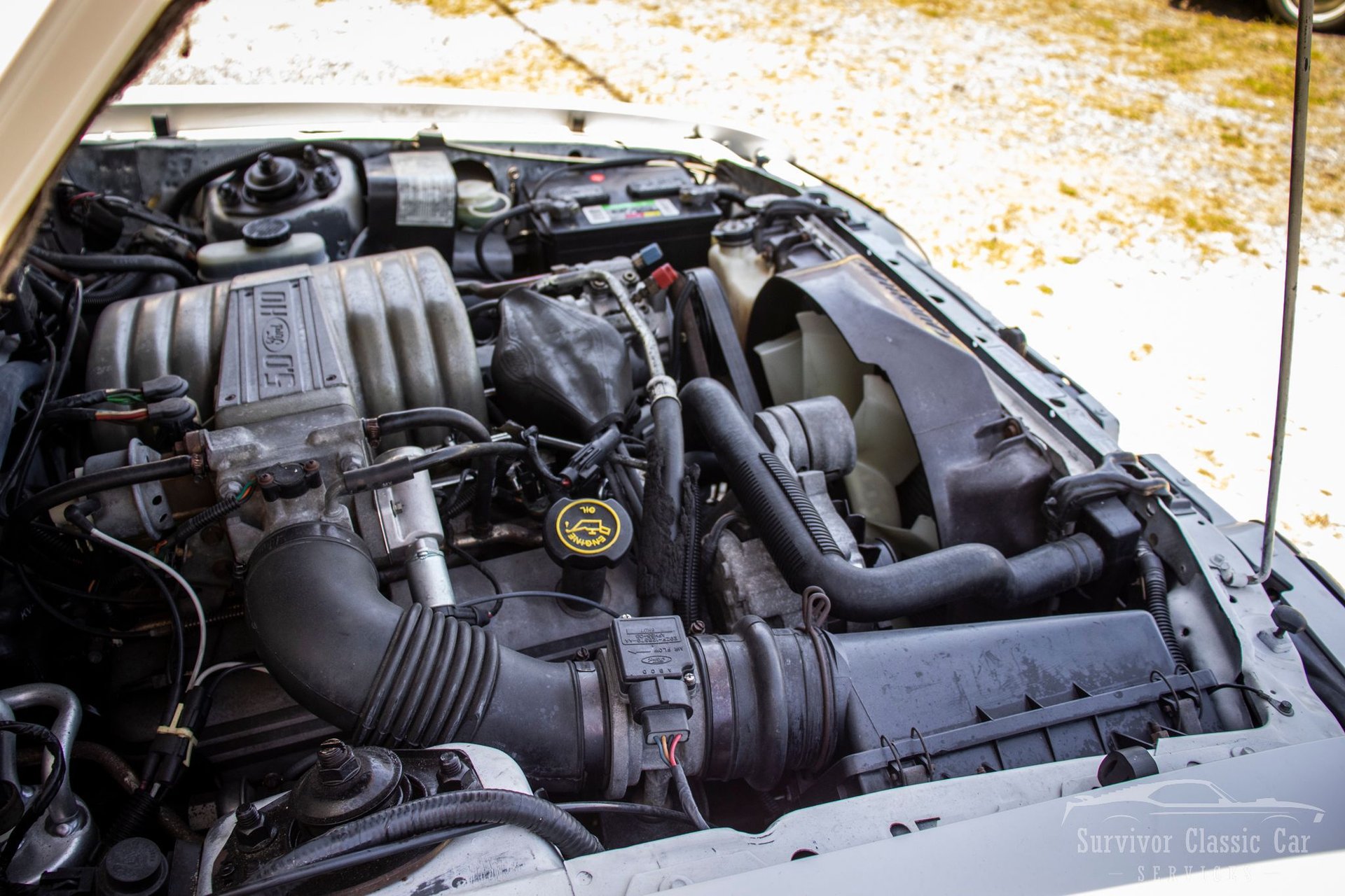 Used 1989 Ford Mustang LX RWD image 80