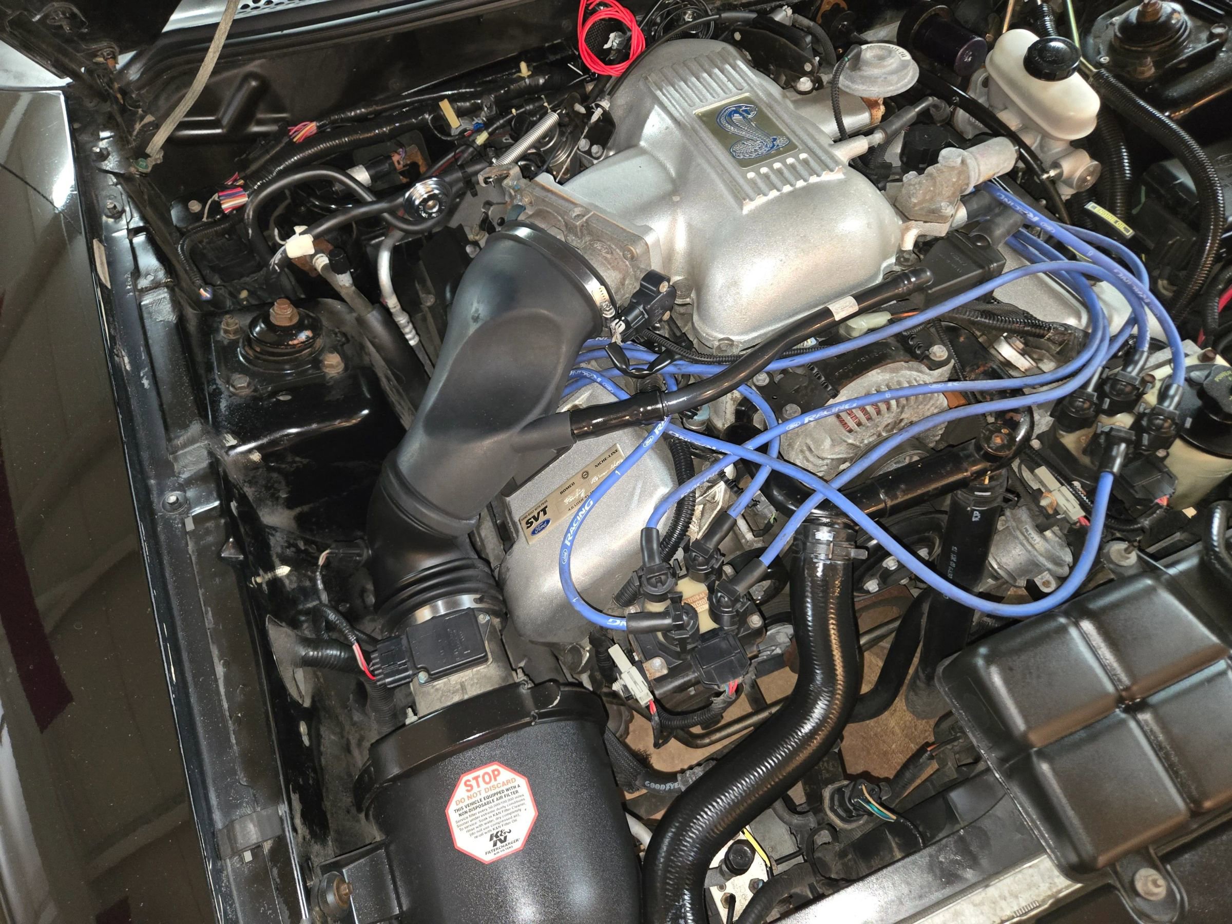 Used 1998 Ford Mustang Cobra image 52