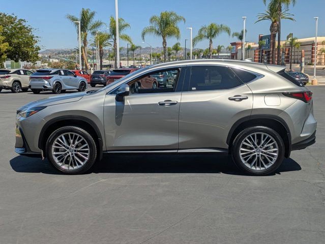 Used 2025 Lexus NX 350h AWD w/ Cold Area Package image 8