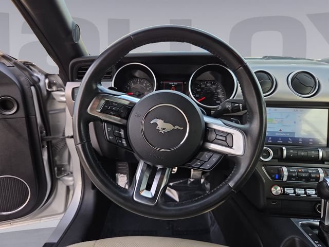 Used 2019 Ford Mustang Premium RWD image 13