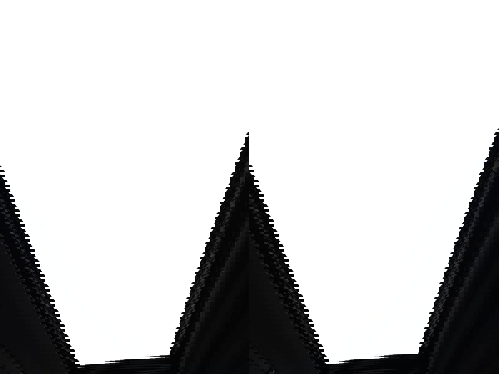 Used 2024 Toyota Land Cruiser w/ Premium Package image 3