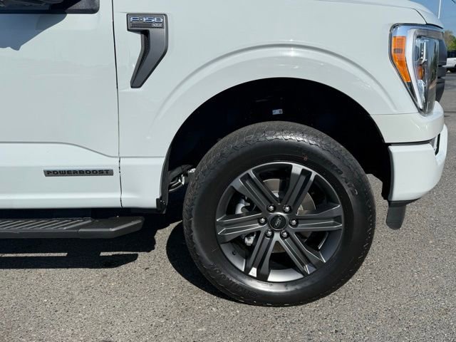 Used 2023 Ford F150 XLT w/ Equipment Group 302A High image 8