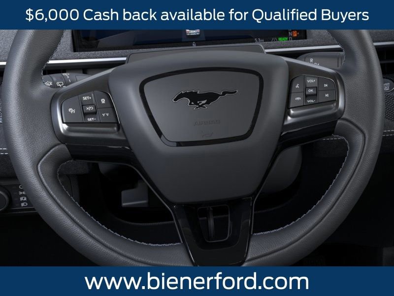 New 2025 Ford Mustang Mach-E GT w/ Interior Protection Package image 13