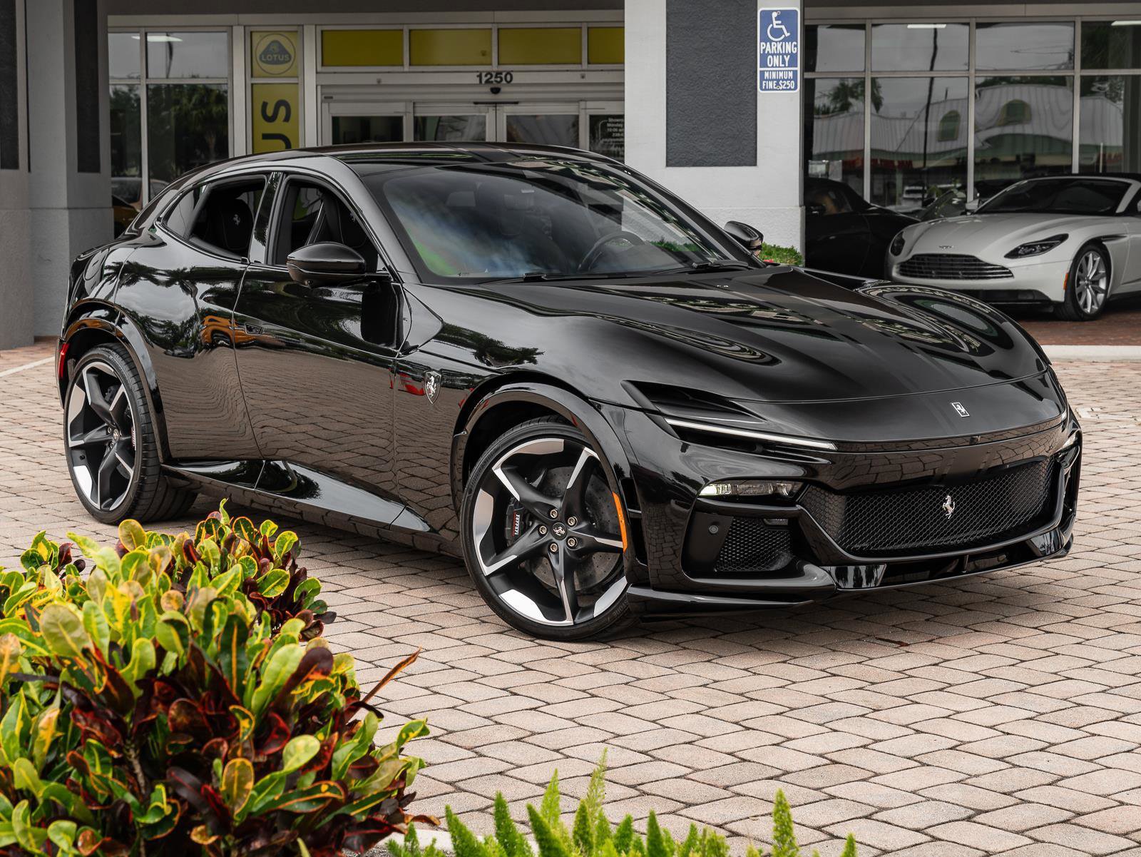 Used 2025 Ferrari Purosangue AWD/4WD image 3