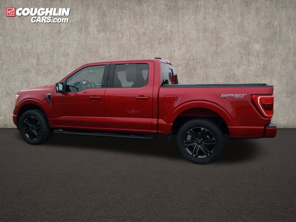Used 2021 Ford F150 XLT w/ Equipment Group 302A High video 2