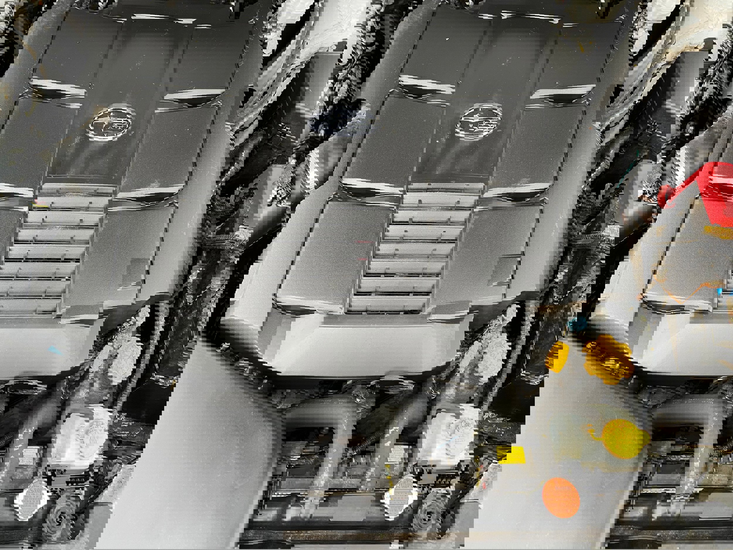 Used 2019 Subaru Outback 3.6R Limited image 10