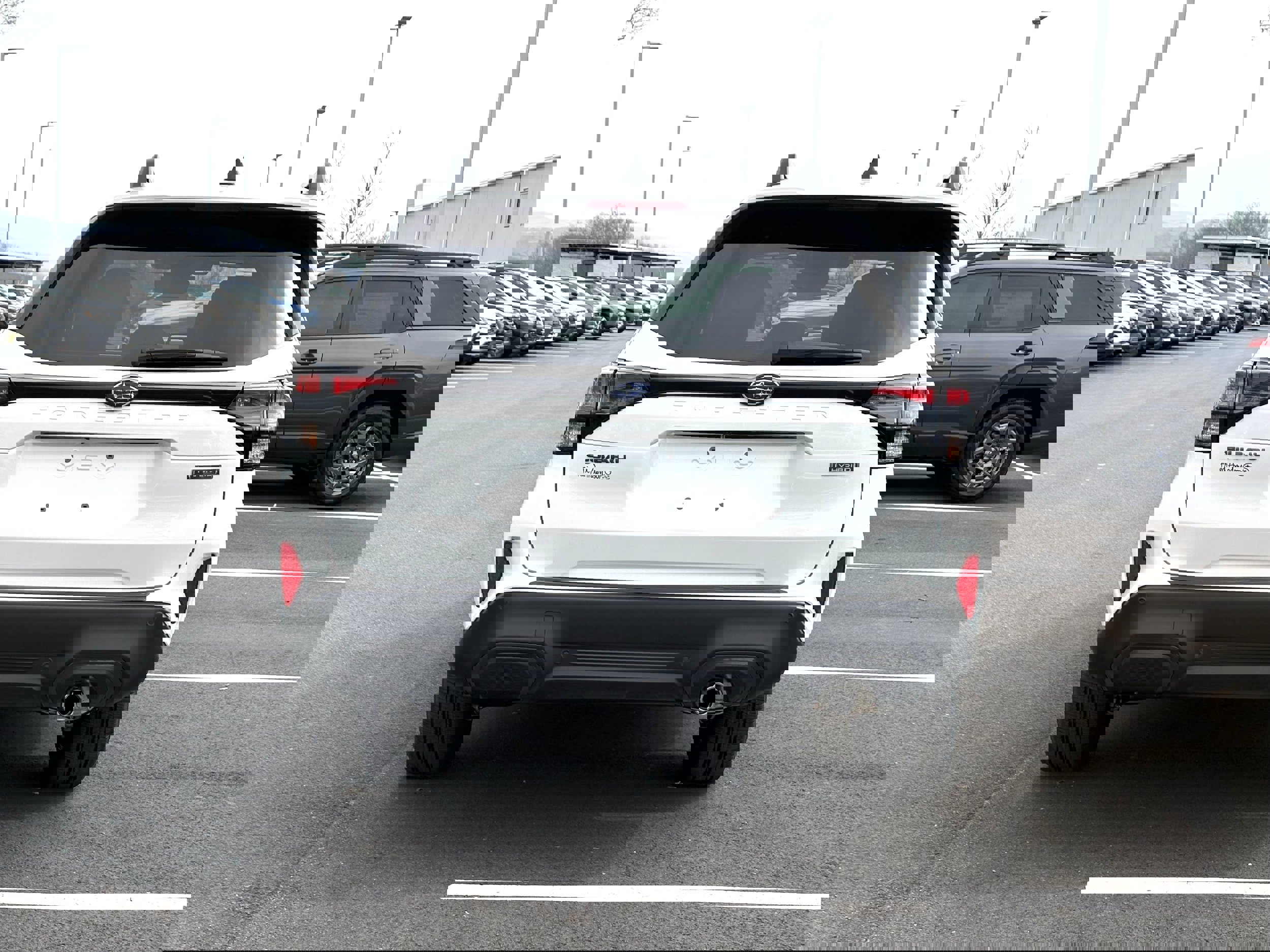 New 2026 Subaru Forester Limited image 10